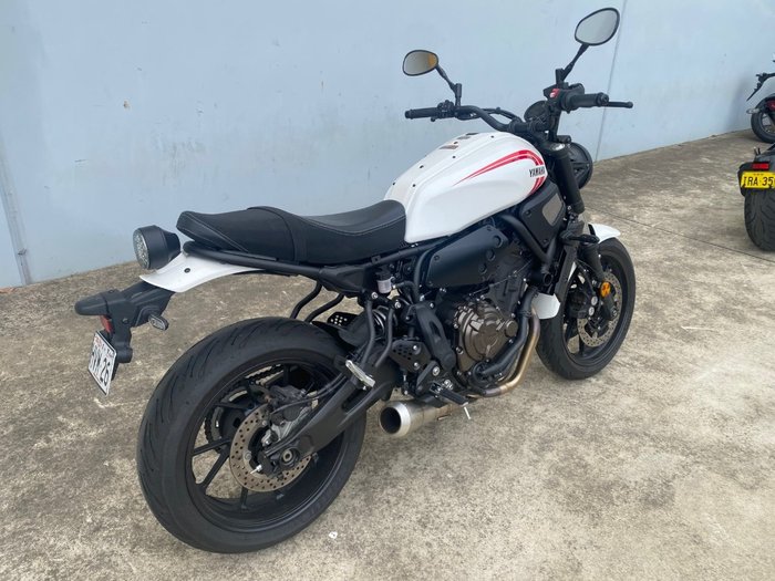 2024 Yamaha XSR700 White