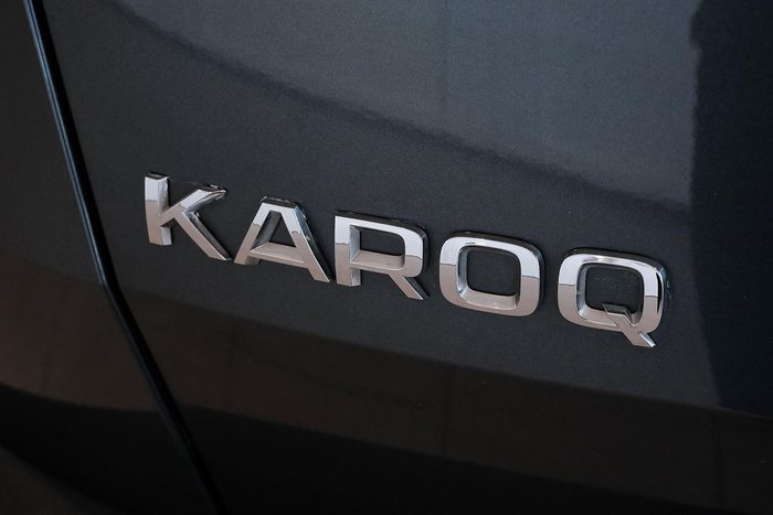 2020 SKODA Karoq 110TSI
