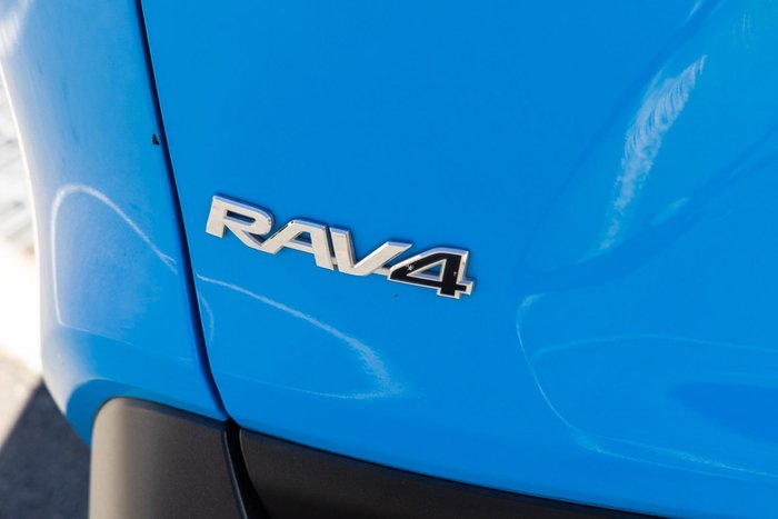 2019 Toyota RAV4 Cruiser