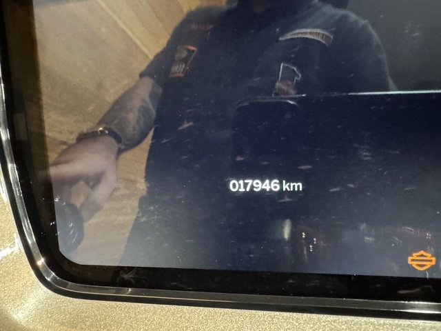 2023 Harley-davidson FLHXSE CVO STREET GLIDE Silver