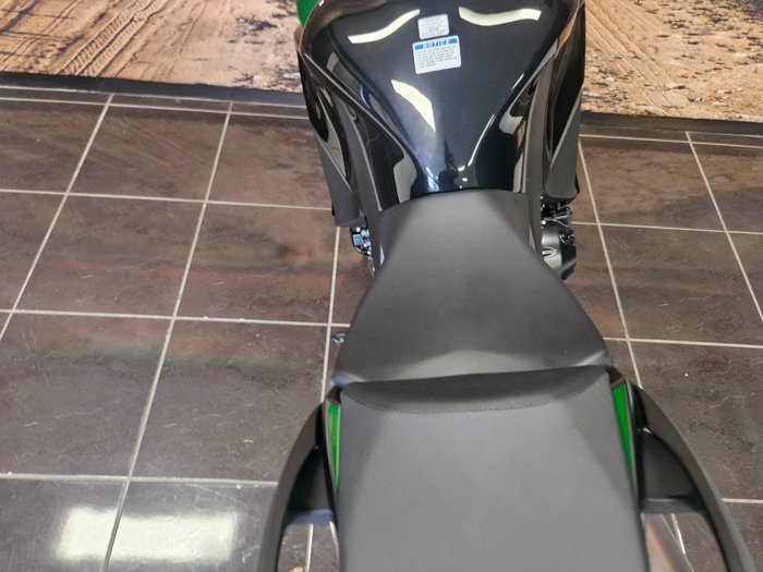 2024 Kawasaki 2024 Kawasaki 1000CC NINJA 1000 GREEN