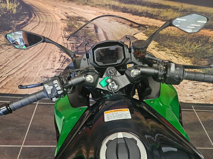 2024 Kawasaki 2024 Kawasaki 1000CC NINJA 1000 GREEN