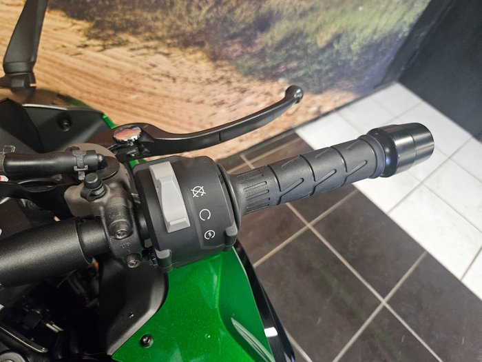 2024 Kawasaki 2024 Kawasaki 1000CC NINJA 1000 GREEN