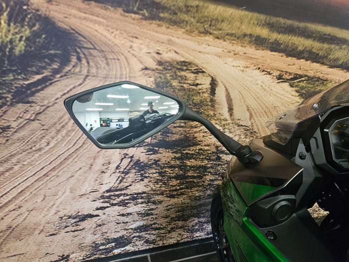 2024 Kawasaki 2024 Kawasaki 1000CC NINJA 1000 GREEN