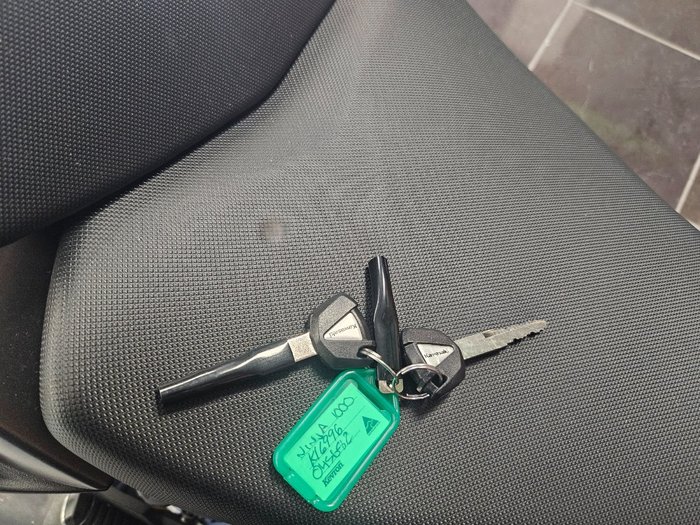 2024 Kawasaki 2024 Kawasaki 1000CC NINJA 1000 GREEN