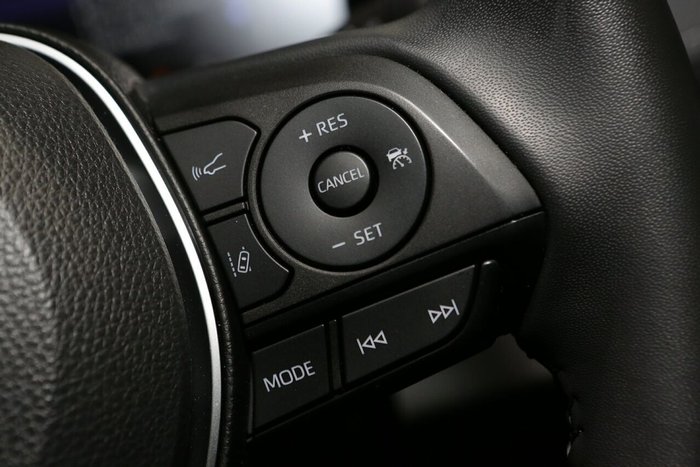 2024 Toyota RAV4 Cruiser