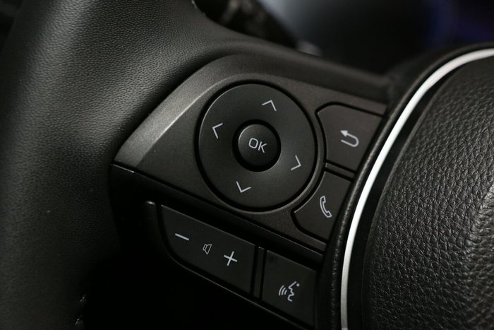 2024 Toyota RAV4 Cruiser