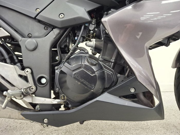 2017 Kawasaki Z300 Silver