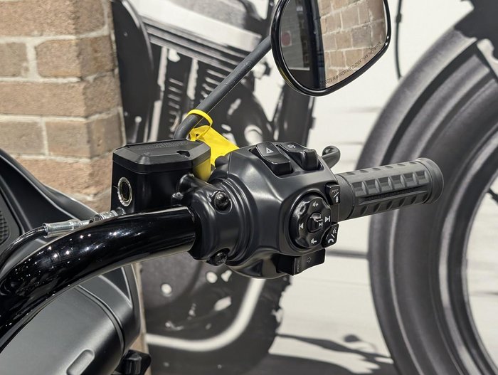 2025 Harley-Davidson Road Glide 117 (FLTRX) Touring