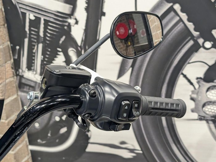 2025 Harley-Davidson Heritage Classic 117 (FLHC) Softail