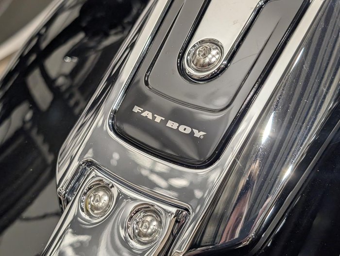 2025 Harley-Davidson Fat Boy 117 (FLFB) Softail Black
