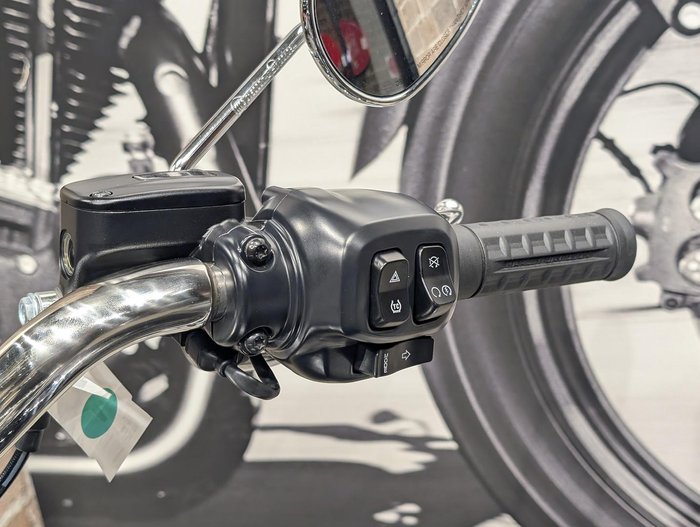 2025 Harley-Davidson Fat Boy 117 (FLFB) Softail Black