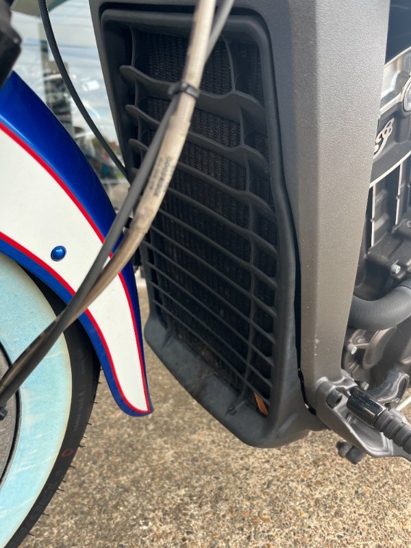 2017 INDIAN SCOUT BLUE