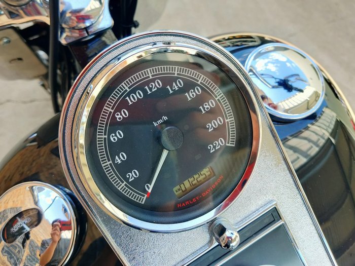 2011 HARLEY-DAVIDSON FAT BOY 103 (FLSTF) ROAD BLACK