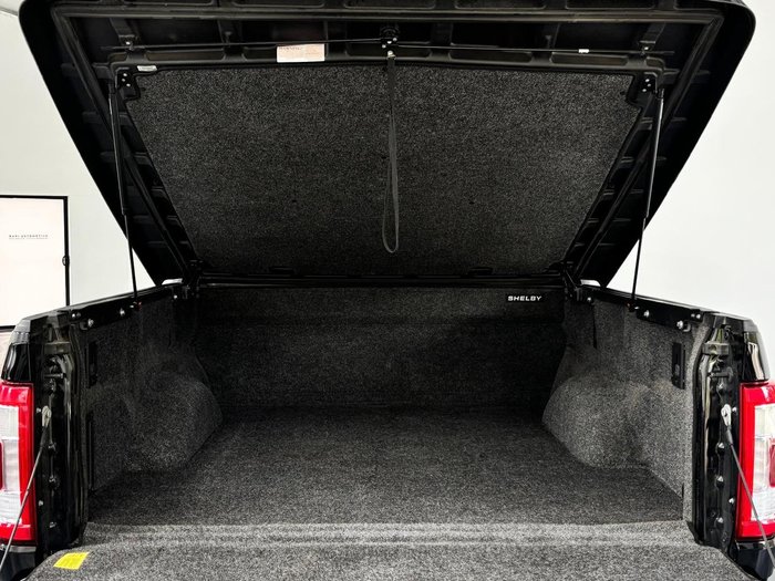 2022 Ford F-150 Shelby Super Snake Sport (No Series)