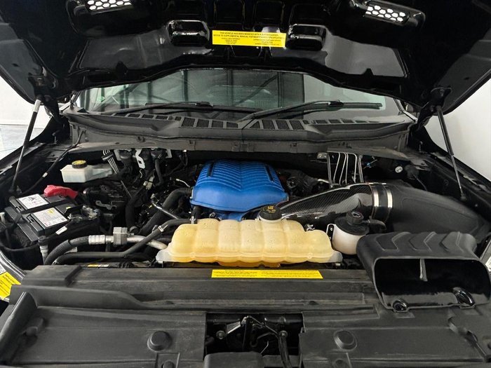 2022 Ford F-150 Shelby Super Snake Sport (No Series)