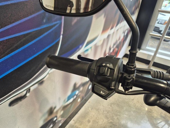 2019 Harley-Davidson Street 500 (XG500) Street Black