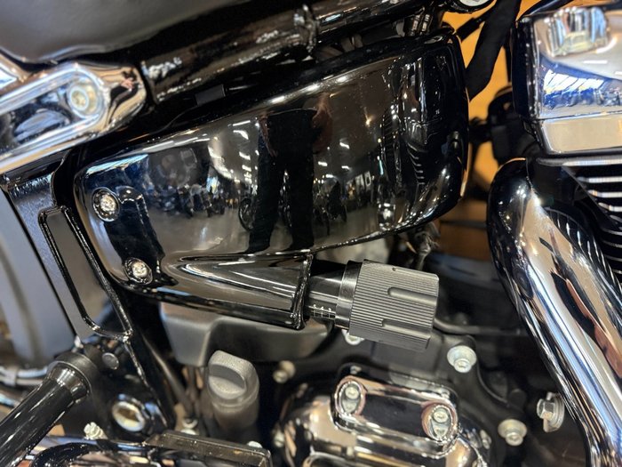 2021 Harley-davidson FLFBS FAT BOY (114) Kinetic Green