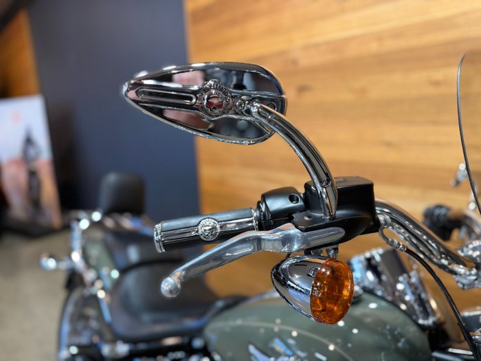 2021 Harley-davidson FLFBS FAT BOY (114) Kinetic Green