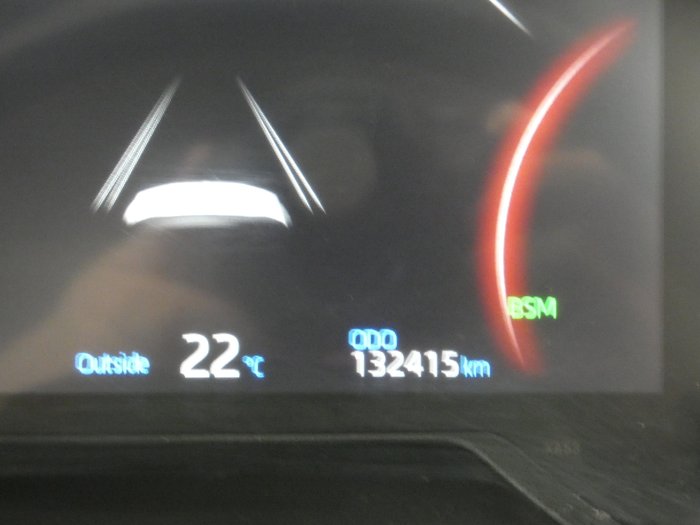 2020 Toyota RAV4 Cruiser