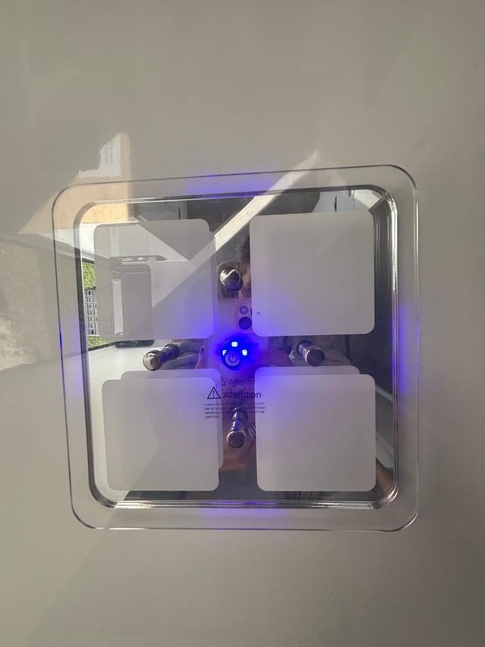 2025 Royal Flair Raptor