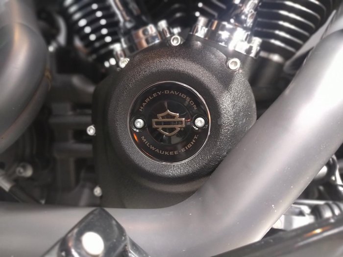 2022 Harley-Davidson Low Rider ST 117 (FXLRST) Softail Black