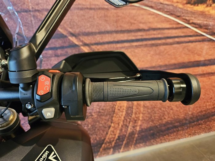 2025 Triumph Tiger 1200 Desert Edition Tiger