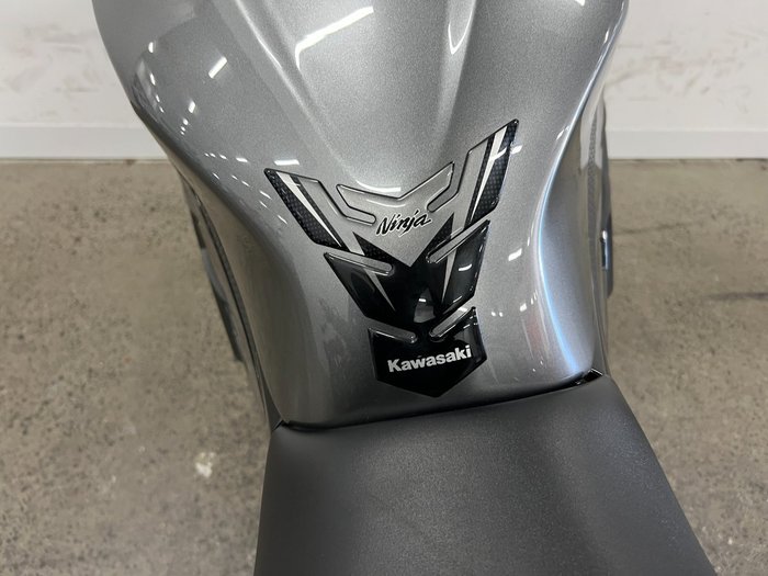 2014 Kawasaki NINJA 300 ABS Grey