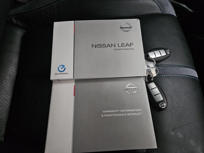 2019 Nissan LEAF