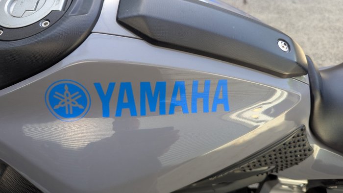 2015 Yamaha MT-07 LA Grey