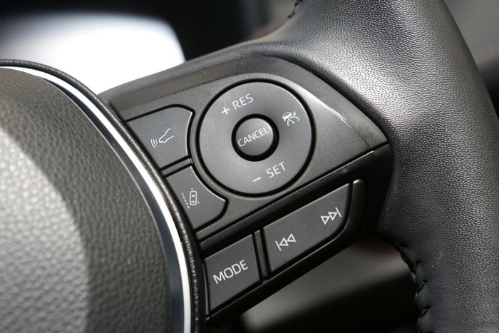 2024 Toyota RAV4 Cruiser