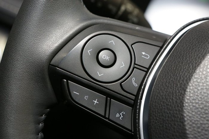 2024 Toyota RAV4 Cruiser