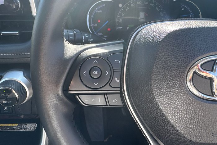 2020 Toyota RAV4 Cruiser