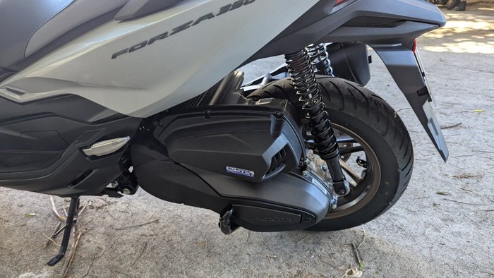 2025 Honda FORZA 350 (NSS350A) Grey