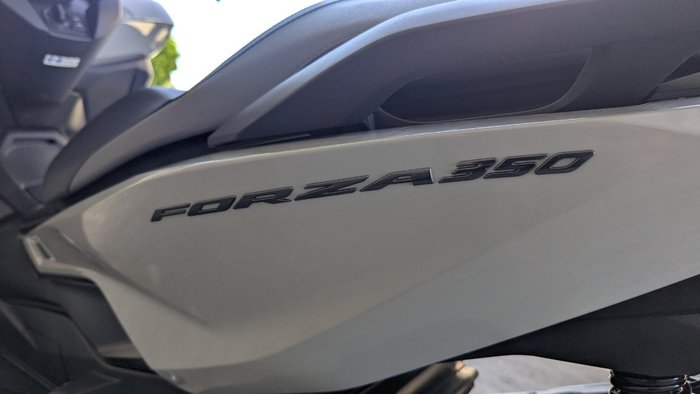 2025 Honda FORZA 350 (NSS350A) Grey