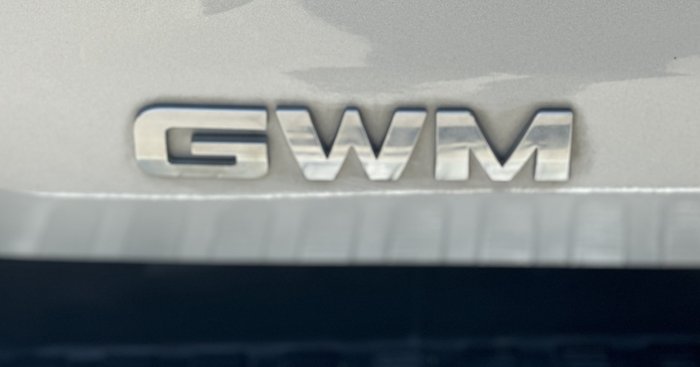 2021 GWM Ute Cannon-X