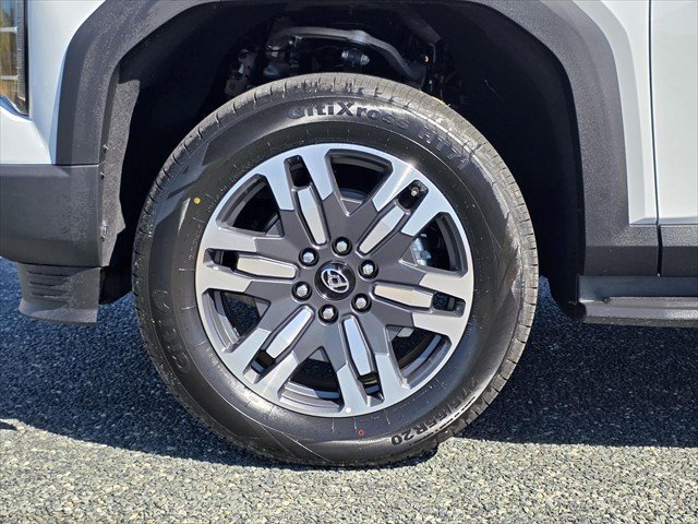 2025 LDV Terron 9 Evolve