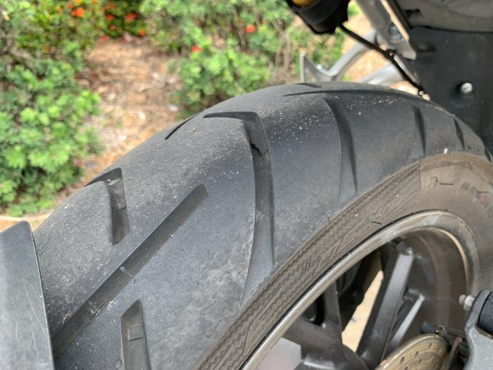 2022 Triumph TIGER 1200 GT PRO Black