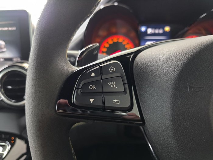 2017 Mercedes-Benz AMG GT R