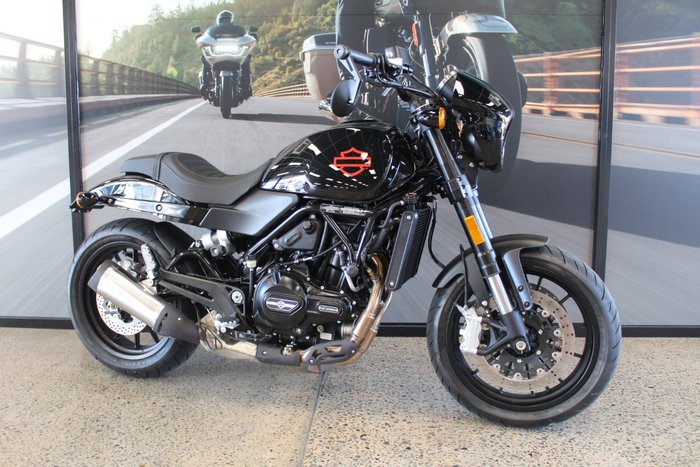 2024 Harley-davidson HD500-10A H-DX X500 WHITE PEARL