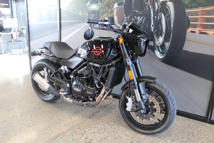 2024 Harley-davidson HD500-10A H-DX X500 WHITE PEARL