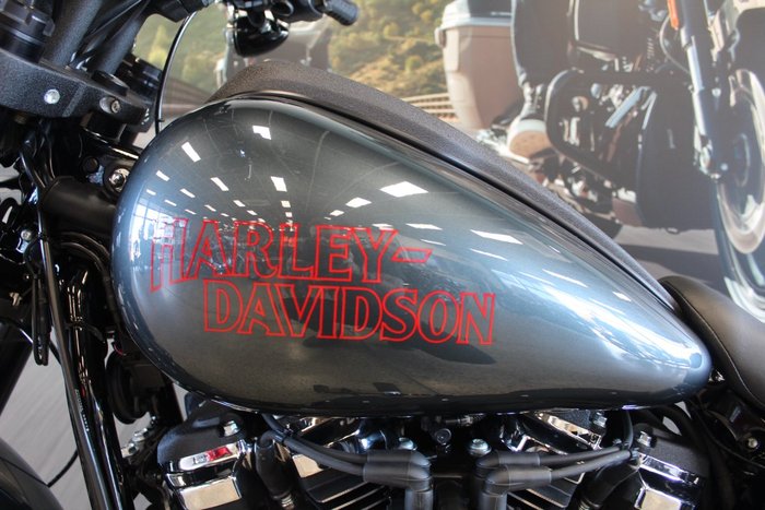 2025 Harley-davidson FXLRS LOW RIDER S (117)