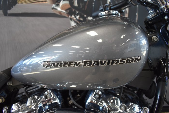 2022 Harley-davidson FXBRS BREAKOUT (114) GRAY HAZE