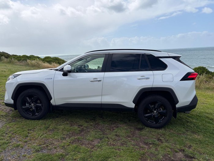2019 Toyota RAV4 Cruiser