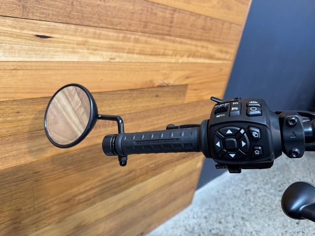 2025 Harley-davidson RH1250S SPORTSTER S MYSTIC SHI