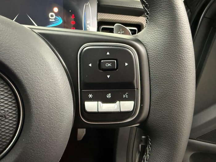 2025 GWM Cannon XSR NPW 4X4 Dual Range Stealth Grey