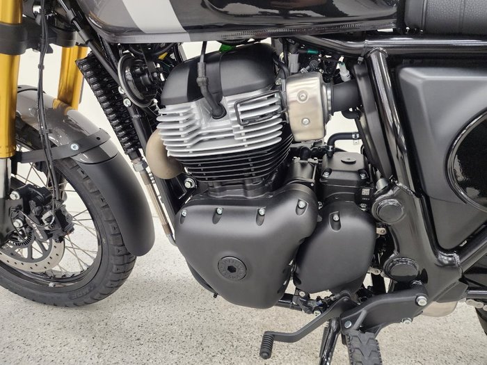 2025 Royal Enfield 2025 Royal Enfield 650CC INTERCEPTOR BEAR 650 Road Godlen Shadow