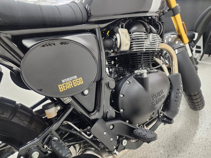 2025 Royal Enfield 2025 Royal Enfield 650CC INTERCEPTOR BEAR 650 Road Godlen Shadow