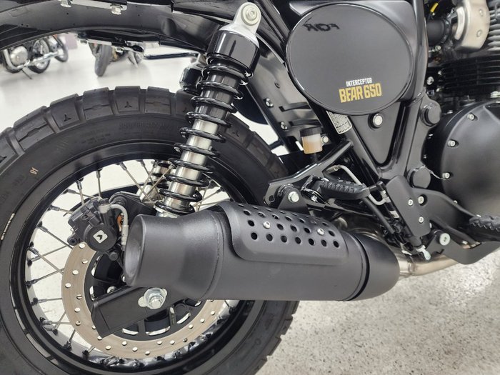 2025 Royal Enfield 2025 Royal Enfield 650CC INTERCEPTOR BEAR 650 Road Godlen Shadow