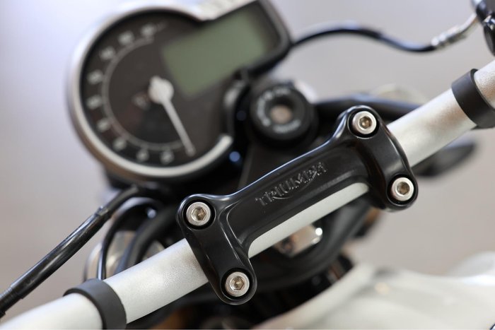 2025 Triumph Speed 400 Speed Four White